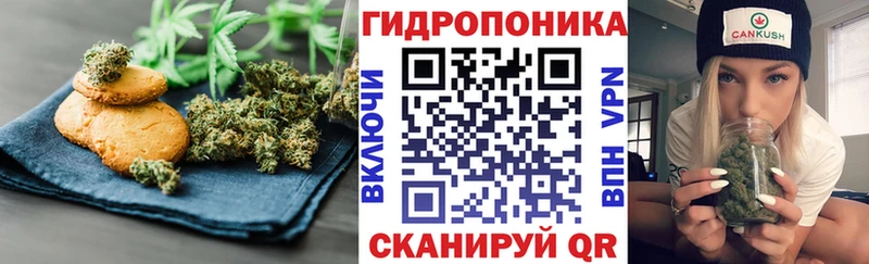 Canna-Cookies марихуана  дарк нет телеграм  Кыштым 