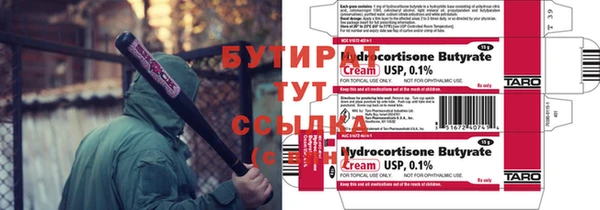 шишки Беломорск
