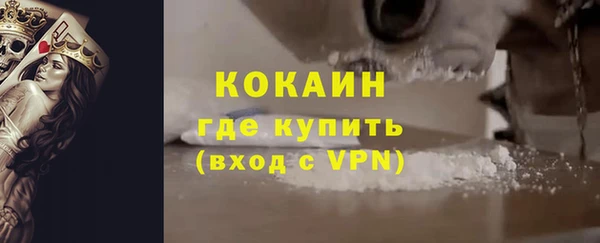 шишки Беломорск