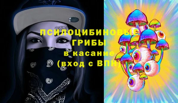 МДПВ Белокуриха