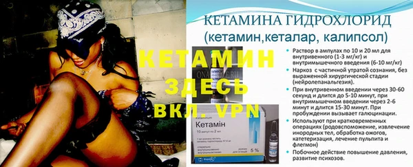 шишки Беломорск